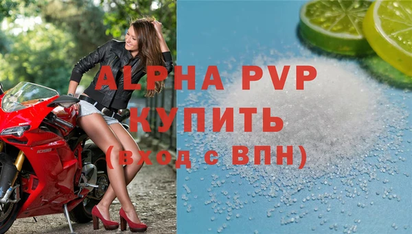 apvp Верея